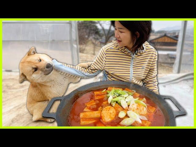 비 내리는 날️비닐하우스에서 떡볶이 만들어 먹는 시골 일상