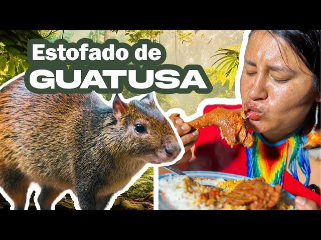 Probando comida SHUAR ESTOFADO de GUATUSA | Recetas de la abuela