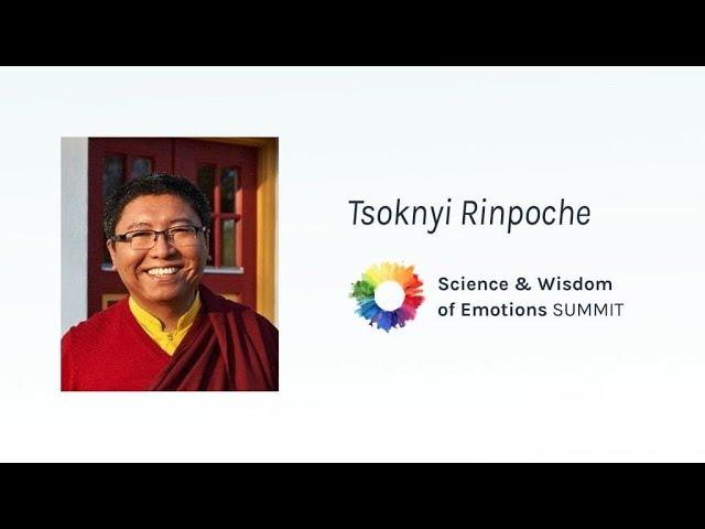 Tsoknyi Rinpoche - Befriending Our "Beautiful Monsters": A Guided Practice for Difficult Emotions