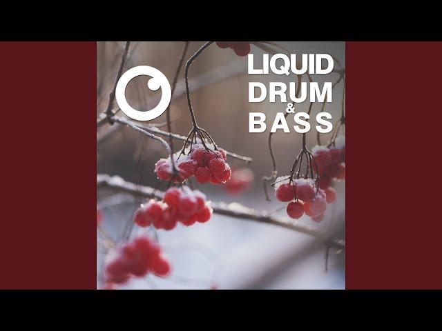 Liquid Drum & Bass Sessions 2020 Vol 17 (The Mix)