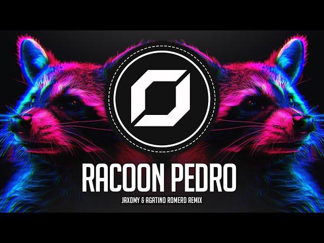 TECHNO ◉ Raffaella Carrà - Pedro (Jaxomy & Agatino Romero Remix) TikTok Song