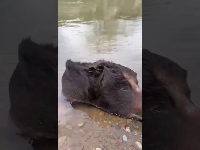 Ужасающие кадры Сахалина🫨🫨🫨