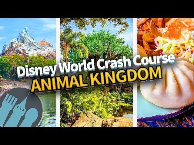 Disney World Crash Course -- Animal Kingdom