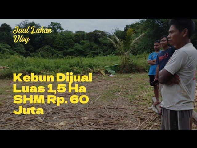 KEBUN DI JUAL ‼️ LUAS 1,5 HA SHM RP. 60 JUTA LOKASI BENGKAYANG KALIMANTAN BARAT INDONESIA