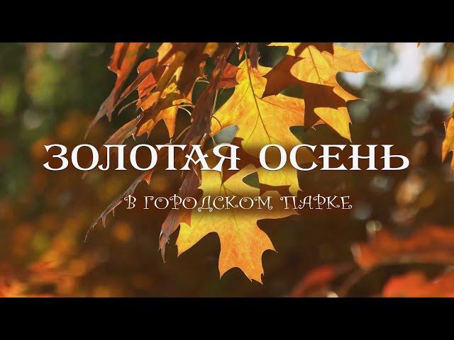 Красивая осенняя музыка для души - погружение в атмосферу золотой осени - славянские гусли