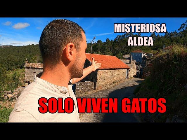 DESCUBRO una MISTERIOSA ALDEA donde SÓLO VIVEN GATOS.