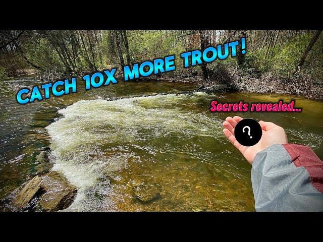 OUT-FISH EVERYONE This Trout Season With This SECRET TECHNIQUE (Works Everytime)