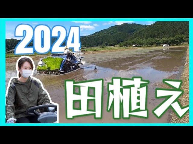 【2024年】田植え！