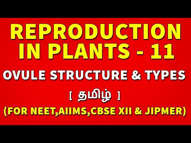 Ovule Structure & Types | Reproduction in Plants  Tamil 11 - Rajus Biology