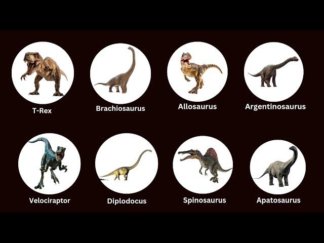 Every type of Dinosaur explained in 12 minutes