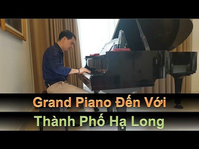   Grand Piano Yamaha Sang Trọng Quý Tộc Đến Với Thành Phố Biển Hạ Long Xinh Đẹp | Tuấn Lưu Piano