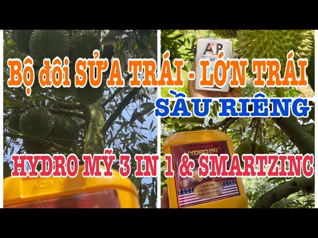 Cách sử dụng HYDRO MỸ 3 IN 1 & SMARTZINC sửa Trái - Lớn trái SẦU RIÊNG