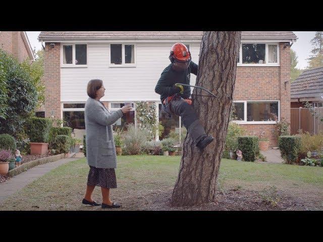 Tree Surgeon