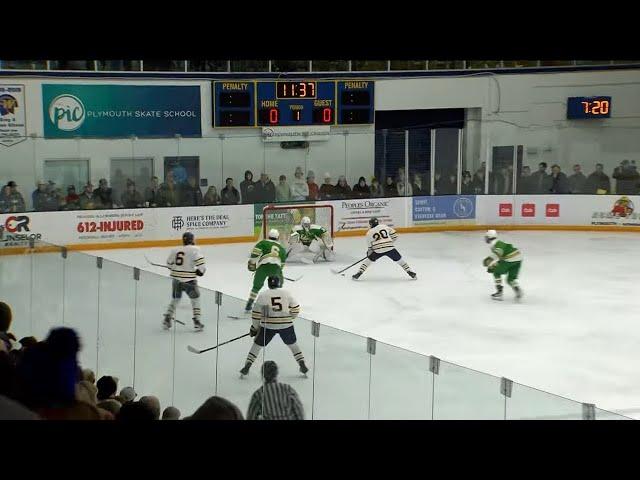 Edina vs. Wayzata High School | Boys Hockey