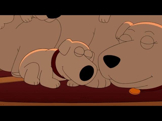 Family Guy edit Brians Death(Let You Down)