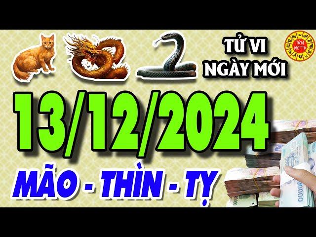 Tử vi tuổi MÃO - THÌN - TỴ ngày 13/12/2024 Số Mệnh Giàu Sang | Tử Vi Việt TV