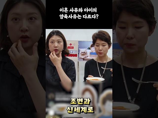 이혼 사유와 아이의  양육사유는 다르다?