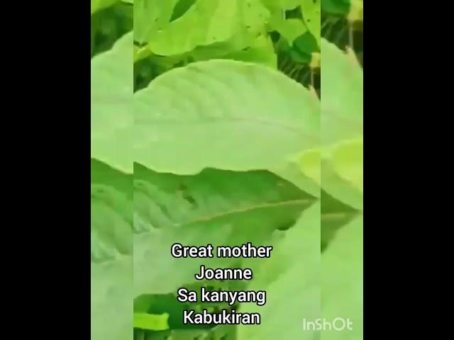 Great mother and her farm | Dakilang Ina | LadyG  Channel