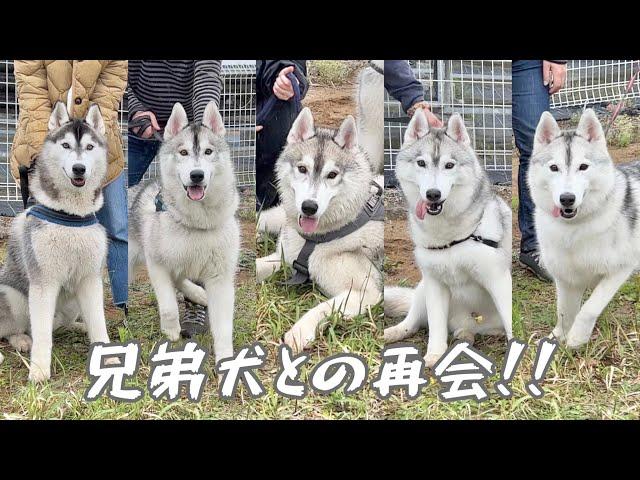 【感動】実の兄弟が大集合！1年ぶりに再会したらみんな同じ顔でしたww