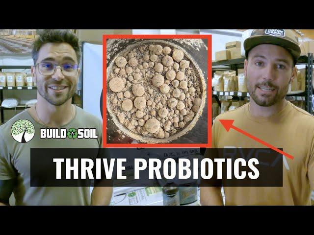 BuildASoil Product Highlight: THRIVE PROBIOTICS YAH-WHEY