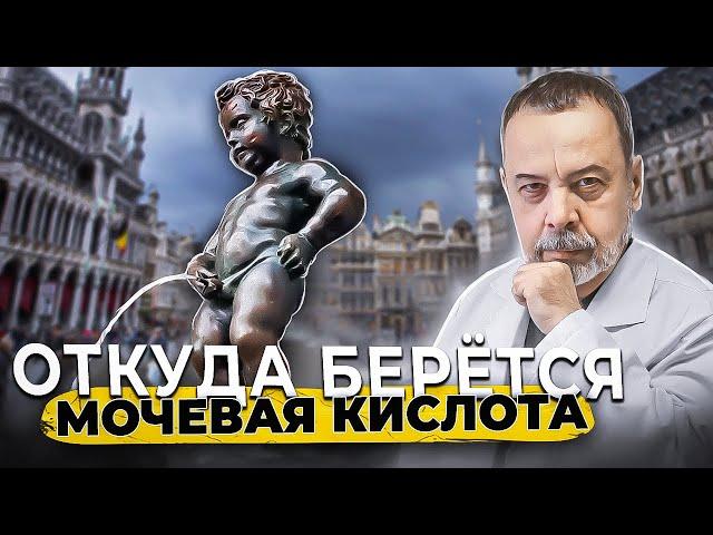 ОТКУДА ЖЕ БЕРЕТСЯ МОЧЕВАЯ КИСЛОТА / подагра / уратные камни / Ковальков / белковая диета / пурины /