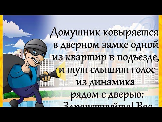 Анекдоты! "Здравствуйте...")) Юмор! Отличное настроение! ПОЗИТИВ!))