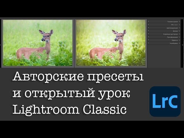 10 пресетов для Lightroom Classic скачать бесплатно, открытый урок и новости