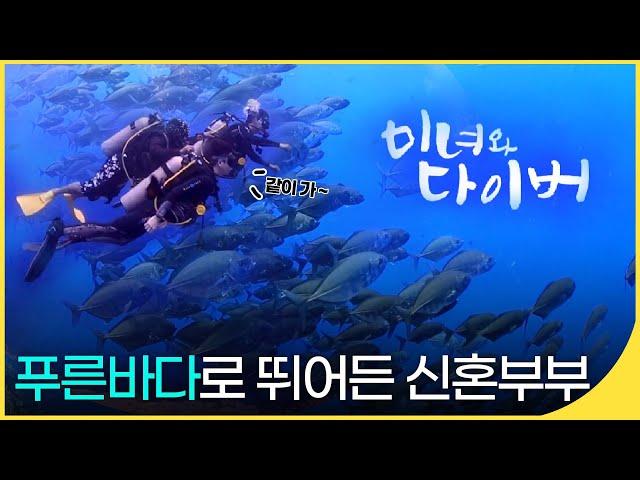 [휴먼다큐] 푸른바다로 뛰어든 신혼부부 - 미녀와 다이버 | 사람과 사람들 | 재미 PICK | KBS 20160713