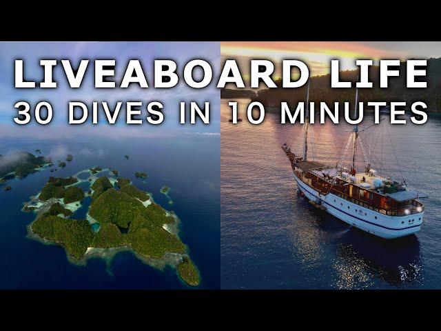 Liveaboard in Raja Ampat. 10 Minutes in The Last Paradise