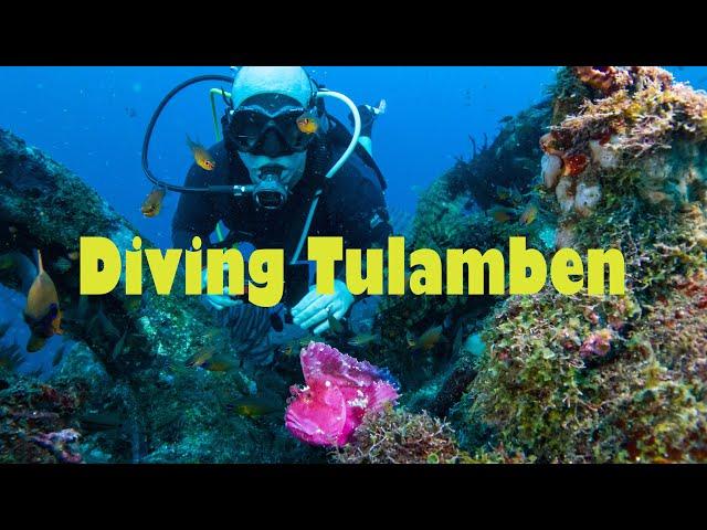 Diving at Matahari Tulamben Resort Bali