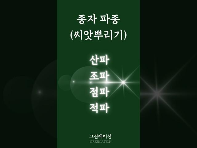 종자파종 산파 조파 점파 적파 농업공부