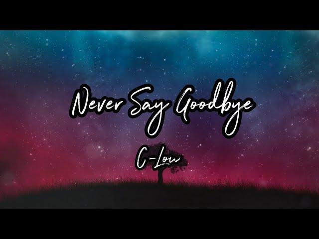 Never Say Goodbye(Official Lyric Video)