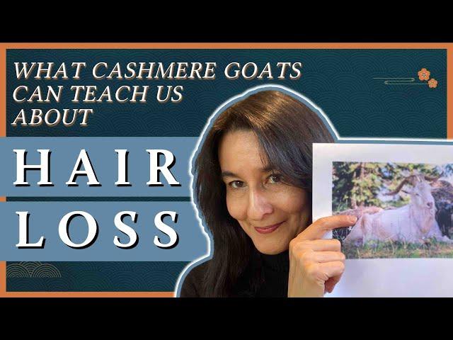 What Cashmere Goats Can Teach Us About Hair Loss