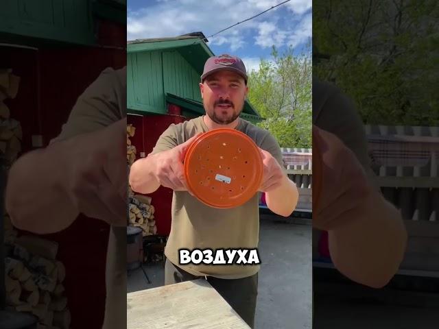 Полезные идеи для сада