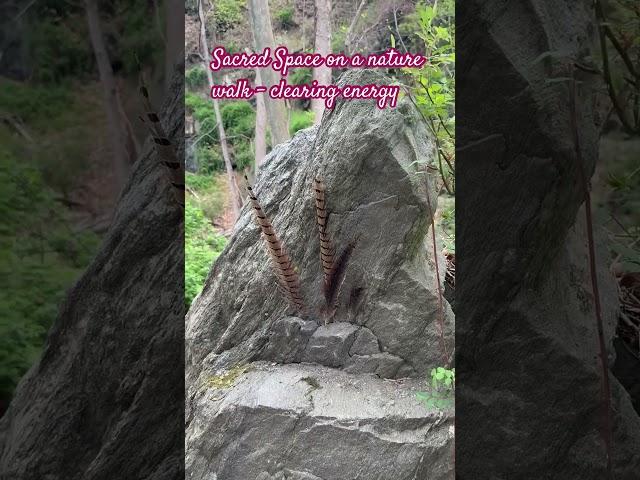 #thedancingoraclewithnajia #sacredspaces #sacredpractice #sacredconnection #forestbathing