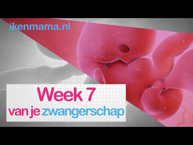 7 weken zwanger | ikenmama.nl