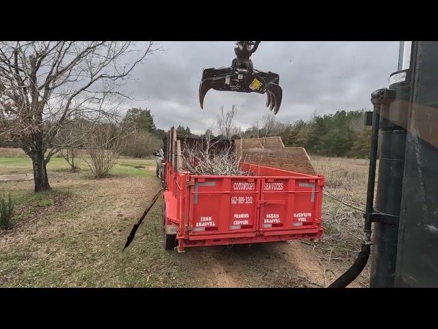 Rotobec grapple saw taking a tree apart