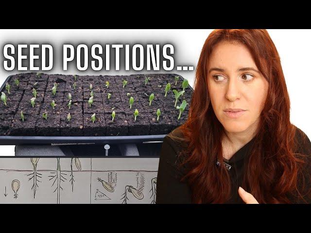 Why Seed Positioning in Soil Matters | Improve Germination & Growth