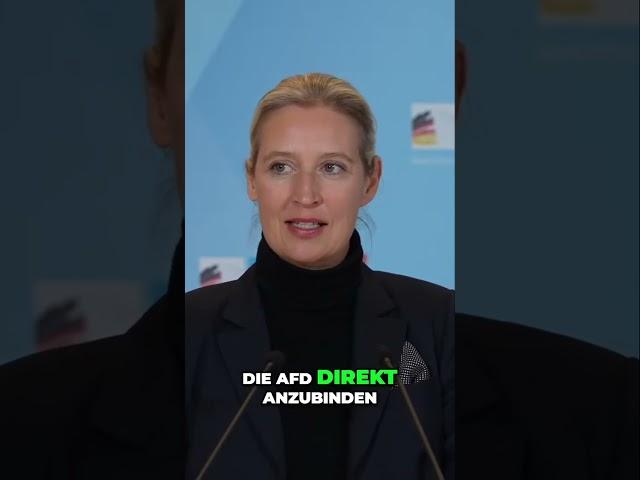 Stärkung der AfD: Restrukturierung der Jugendorganisation