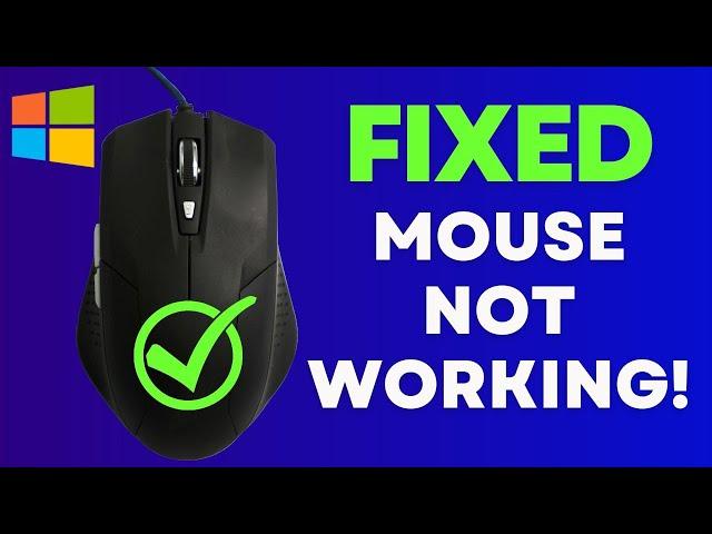 Exclusive Guide to Fixing Mouse and Trackpad Issues on Windows 10/11