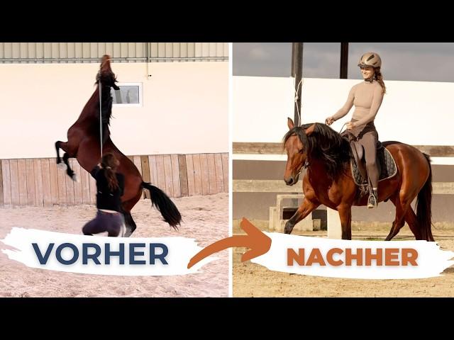 Wie du an Herausforderungen mit deinem Pferd wachsen kannst | KEY TO HORSES