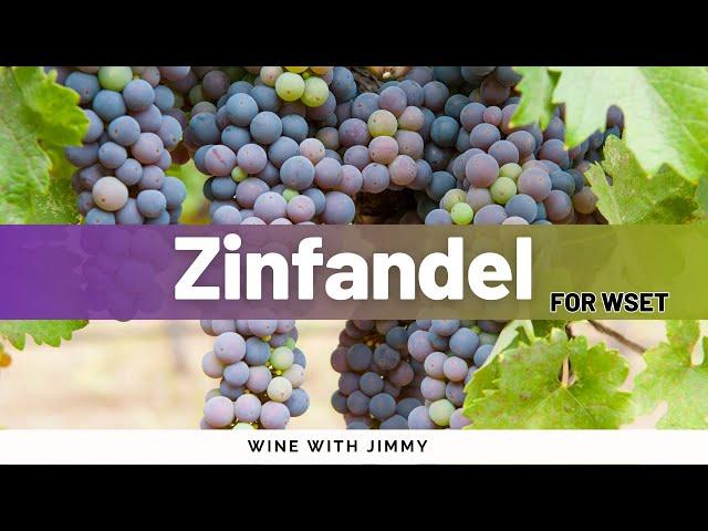 Zinfandel for WSET Level 3