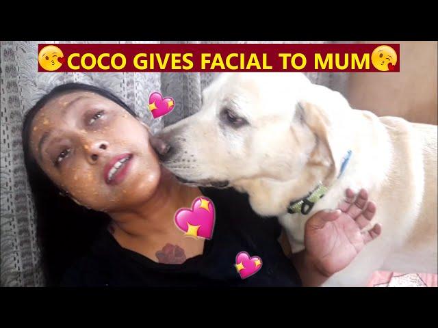 COCO & ANGEL GIVES FACIAL TO MUM | MUM TRIES HOME REMEDY, COCO & ANGEL LOVES TO EAT | WATCH IT 