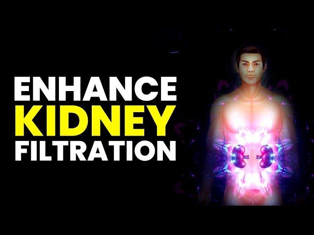 Kidney Glomerulus Function | Enhance Your Kidney Filtration | Kidney Healing Music | 528 Hz Repair
