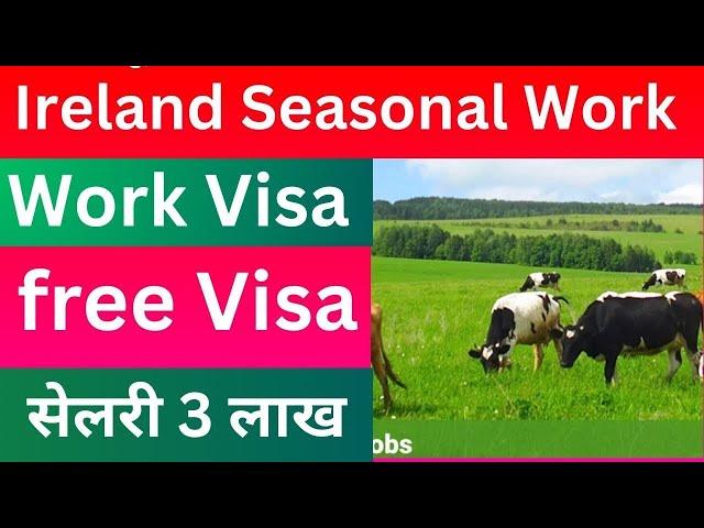 Ireland मा खुल्यो 2025 को लागी | ireland seasonal work visa 2025 | ireland seasonal work visa new