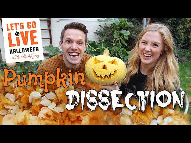 Pumpkin Dissection! | Learn the Parts of a Pumpkin | Maddie Moate