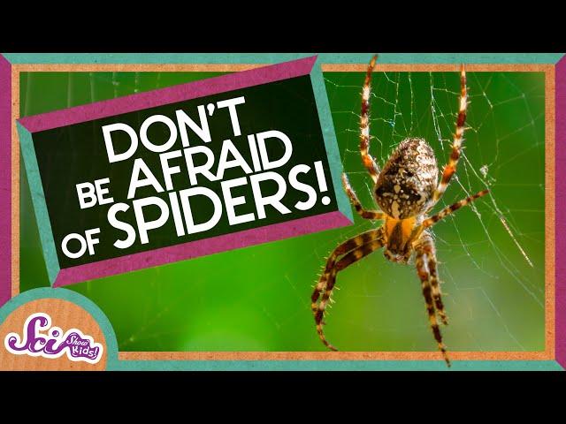 Don't Be Afraid of Spiders! | Amazing Animals | Backyard Science | SciShow Kids