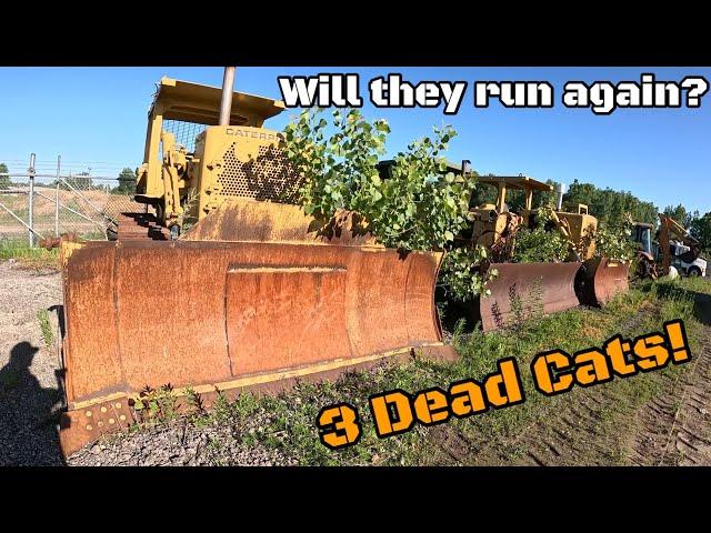 Digging out abandoned non running Cat dozers out of a forest that were left for dead