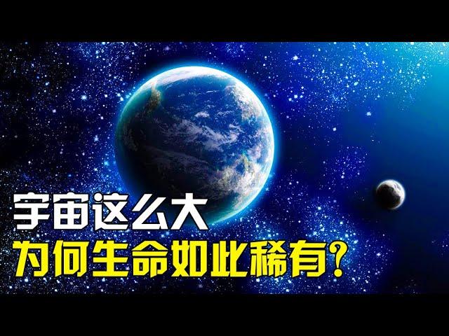 宇宙大到无法想象，为何生命却如此稀有？【太空科学站】