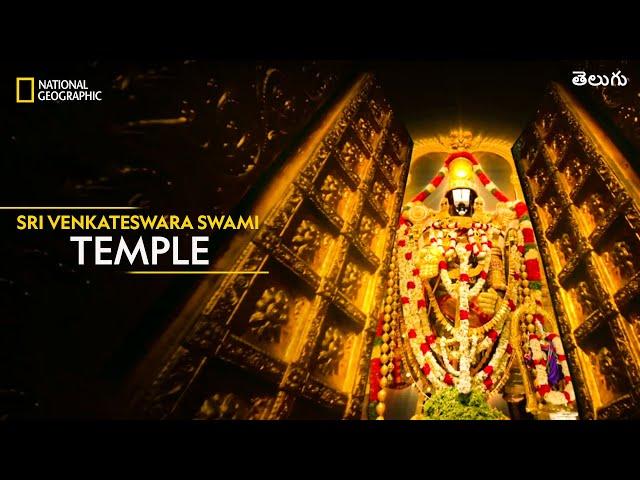 Sri Venkateswara Swami Temple | Inside Tirumala Tirupati | తెలుగు | National Geographic